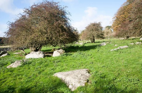 Fyfield Down national nature reserve, Marlborough Downs, Wiltshire, England, UK one of the