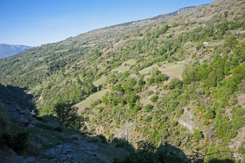 Landscape of the River Rio Poqueira gorge valley, High Alpujarras, Sierra Nevada, Granada Province,