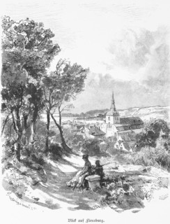 View from the western height to Flensburg, Schleswig-Holstein, townscape, church, sandy path,