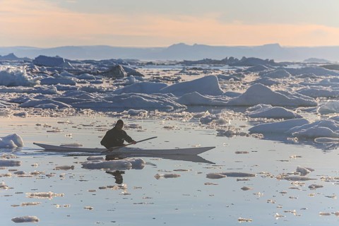 Inuit paddling a kayak between icebergs, man, sunny, summer, Ilulissat, Ilulissat Icefjord, Disko