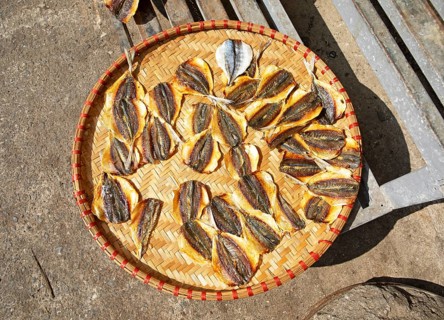 Fish drying on a bamboo tray, Cat Ba City, Cat Ba Island, Halong Bay, Vietnam, Asia