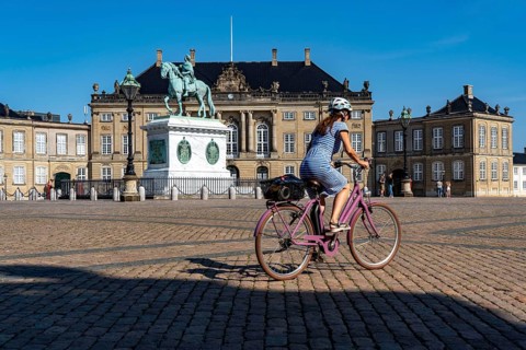 Amalienborg Palace, equestrian monument to Frederik V, Copenhagen, Denmark, Europe
