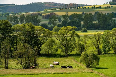 Landscape in the south of Lichtenfels, in Hesse, Germany, Europe