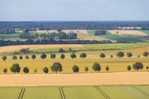Fields near Liebschützberg ., Liebschützberg, Liebschütz, Saxony, Germany, Europe