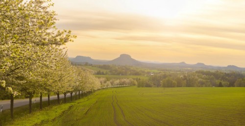 Spring in Saxon Switzerland, Altendorf, Saxony, Germany, Europe