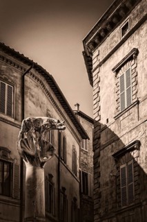She-wolf and children, sculpture in the historic centre, heraldic animal, monument, symbol,