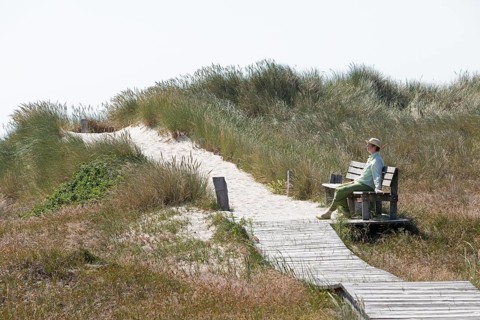 Elderly, woman sitting on bench, wooden footbridge, reed grass, circular hiking trail, nature