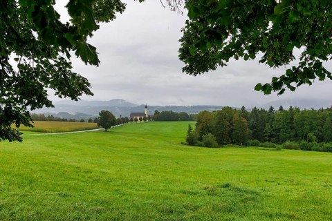 Pilgrimage church of St Marinus in Wilparting, Regen, meadow, trees, municipality of Irschenberg,