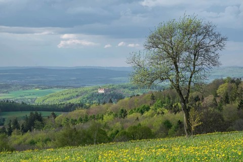 View from the Maulkuppe, mountain in the Hessian Rhön nature park Park, Bieberstein Castle in the