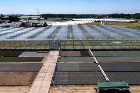 Horticultural business, irrigation with a sprinkler system, mobile on wheels in the open air,