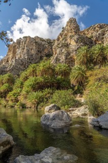 Phoenix theophrasti palms and the river Megalopotamos in the gorge of Preveli, Crete, Greece,