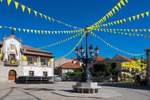 Municipal square with old street lamps, a historic building and festive yellow flags under a clear