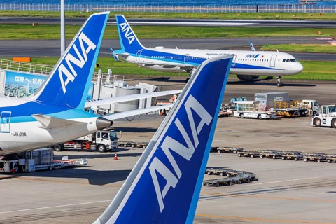 Tail units of ANA All Nippon Airways aircraft at Tokyo Haneda Airport, Japan, Asia