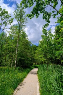 Hiking trail at Barmsee, Krün, Werdenfelser Land, Upper Bavaria, Bavaria, Germany, Europe