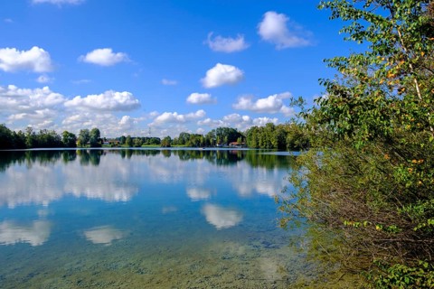 Waldschwaigsee, near Dachau, Dachauer moss, Upper Bavaria, Bavaria, Germany, Europe