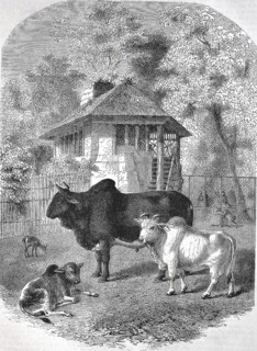 Historic, digitally restored reproduction from a 19th century original, Record date not stated,