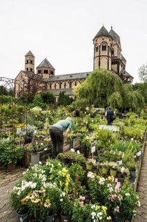 Romanesque monastery church, Benedictine Abbey Maria Laach, Eifel, Rhineland-Palatinate, Germany,