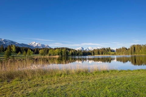 Hegratsrieder See near Füssen, Allgäu Alps, snow, Allgäu, Bavaria, Germany, Europe