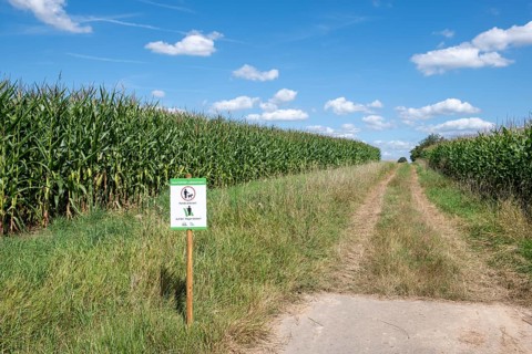 Sign for dog owners that they should stay on the paths and that dogs must be kept on a lead.NABU,