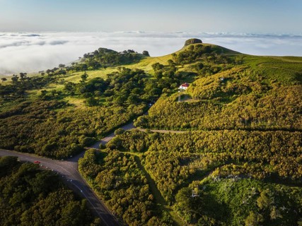 Aerial view of idyllic scenic Fanal Laurisilva forest with centuries-old til trees above clouds