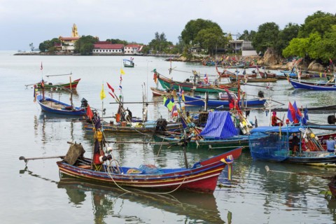 Colourful fishing boats, boat, ship, fishing boat, colourful, colourful, decorated, harbour, sea,