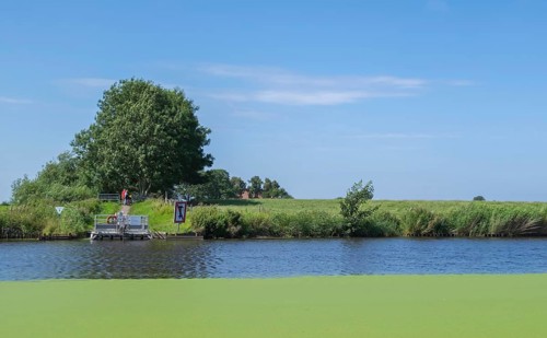 Pünte on a canal, crank pünte, ferry without motor drive, East Frisia, Lower Saxony, Germany,