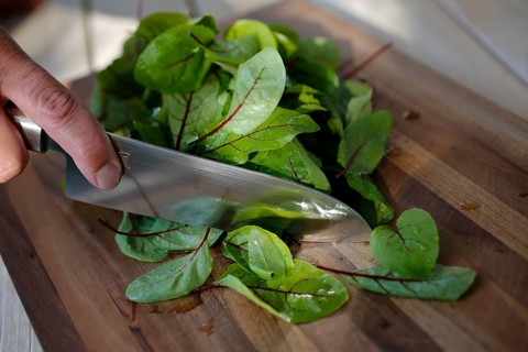 Southern German cuisine, preparation of sorrel soup with char, blood sorrel (Rumex sanguineus),