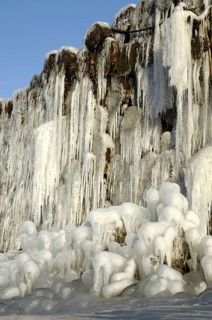 Ice crust on tree trunks at a wet wood store, Sauerland, North Rhine-Westphalia, frost, ice,