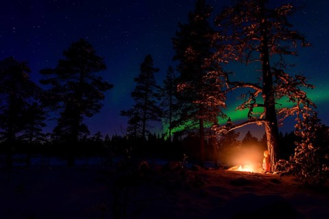 Man in the evening at a bivouac with campfire, Lapland, Sweden, Scandinavia, Europe