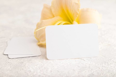White paper business card mockup with orange day-lily flower on gray concrete background. Blank,