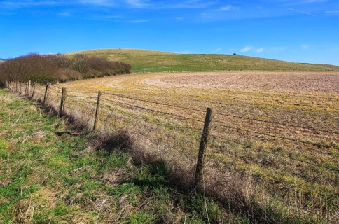 Chalk landscape on Cherhill Downs, Wiltshire, England, UK
