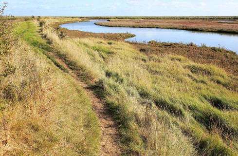 Landscape at high tide Barthorp's Creek, Hollesley Bay, near Shingle Street, Suffolk, England, UK