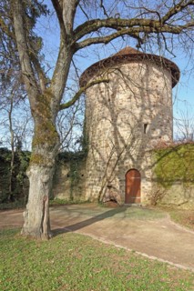 Defence defence tower and town wall, Feuchtwangen, Middle Franconia, Franconia, Bavaria, Germany,