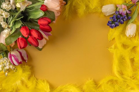 A vibrant spring bouquet of tulips and spring flowers surrounded by yellow feathers on a yellow