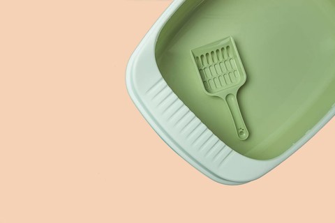 Cat toilet, cat tray, empty, clean, new. with a scoop, top view, pistachio color