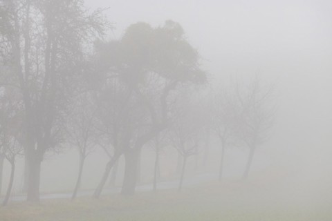 Foggy field path near Rathewalde in Saxon Switzerland, Rathewalde, Saxony, Germany, Europe