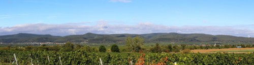 Panorama from the Haardtrand with a view of the Palatinate Forest