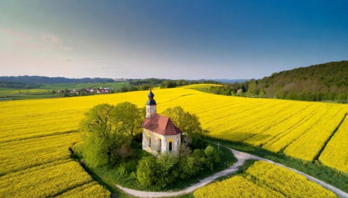 Agriculture, rape field, in full bloom, yellow, in it a small prayer chapel, aerial view, AI