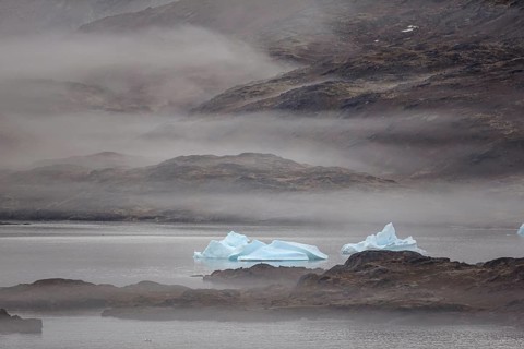 Icebergs in a fjord in the fog, mountainous, Tasiilaq, East Greenland, Greenland, North America