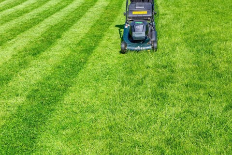 Hayter cordless electric lawnmower cutting lawn grass into stripes, UK