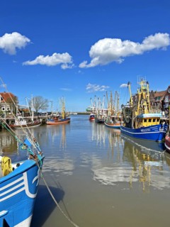 Crab cutter, harbour, Neuharlingersiel, East Frisia, Germany, Europe