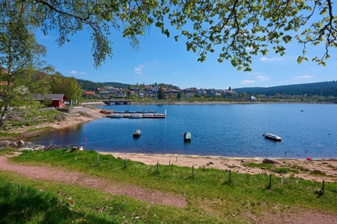 Picturesque Schluchsee with boats on the shore, surrounded by green meadows and houses in the