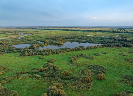 The Warta Estuary National Park, Park Narodowy Ujscie Warty, where the Warta flows into the Oder.