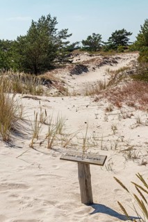Trees, dunes, no trespassing sign, circular hiking trail, nature reserve, Darßer Ort, Born a. Darß,