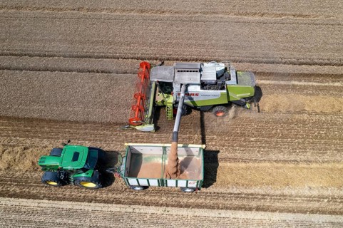 Agriculture, grain harvest, wheat, combine harvester harvesting in a wheat field, grain tank being
