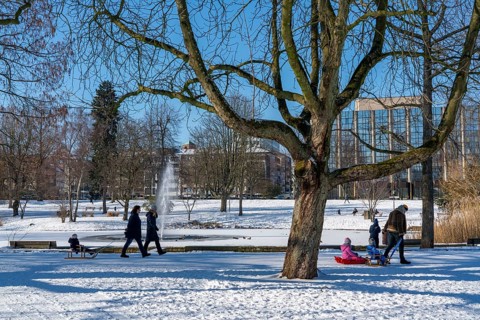 Winter weather in the Ruhr area, Stadtgarten Essen, municipal park in the city centre,
