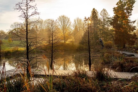 The Grugapark, Essen, botanical garden, park for leisure and recreation, by the forest lake, wooden
