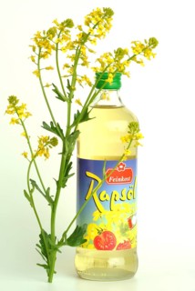 Rapeseed oil in a commercial bottle, rapeseed, food, plant, Brassica campestris, Brassica napus,