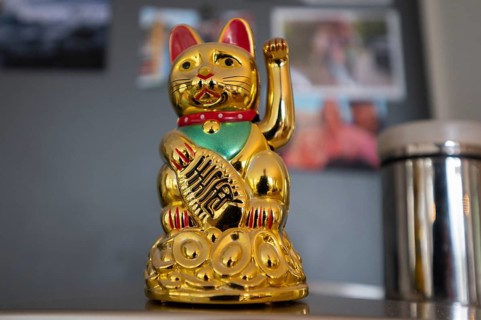 Japanese lucky charm, the waving cat, Bavaria, Germany, Europe