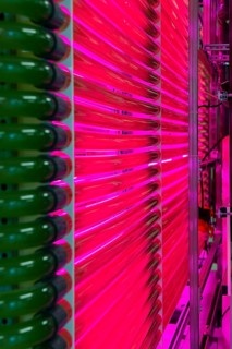 PUEVIT GmbH produces the most efficient photobioreactors for the cultivation of microalgae. The aim
